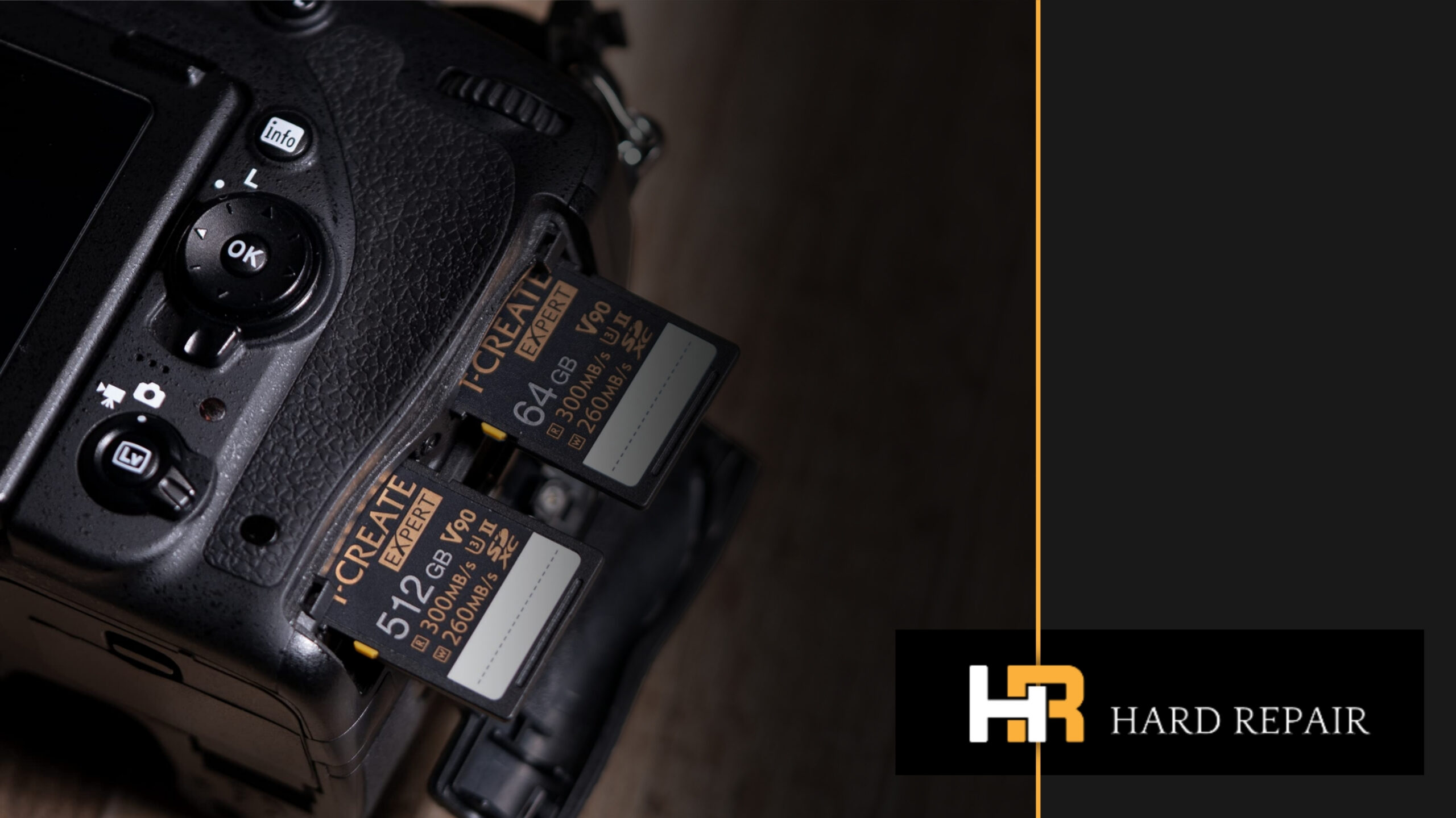 بازیابی اطلاعات رم دوربین برندهای مختلف sony ، canon ، نیکون 